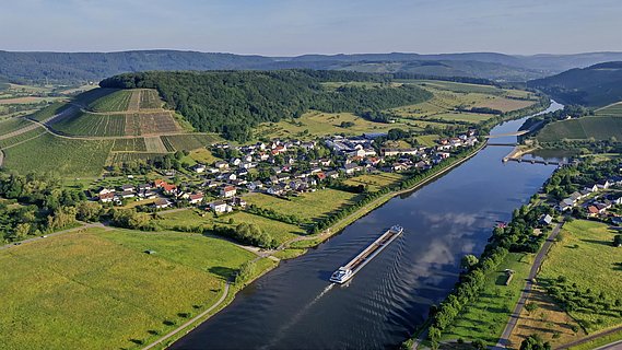 Blick auf die Weinlage Ayler Kupp Blick auf die Weinlage Ayler Kupp