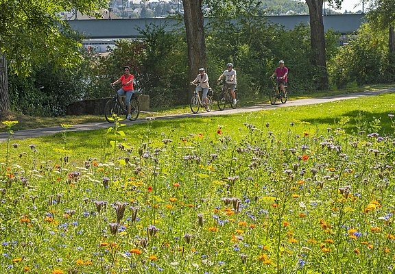 Moselradweg (5)