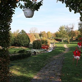 Lebensfluss in Fisch (02)
