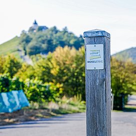 Wegemarkierung Moselsteig am Fuße der Marienburg zwischen Reil und Zell