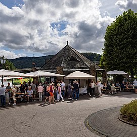 Saarburger Weinufer Saarburg