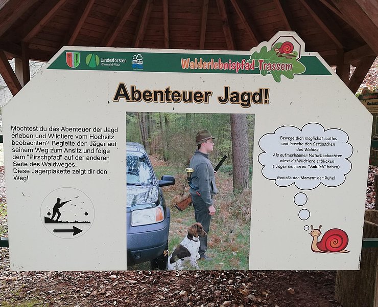 Säugetiere und Jagd (3)