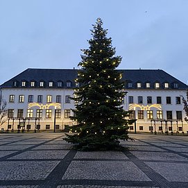 Weihnachtsmarkt (2)