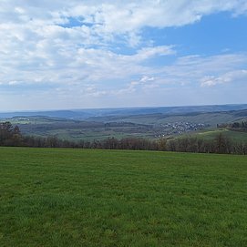 Karlskopf Pellingen