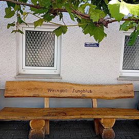 Weingut-Ferienwohnung Jungblut (5)