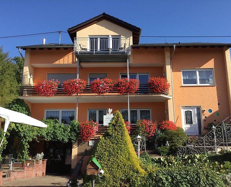 Temmelser Elblinghof (1)
