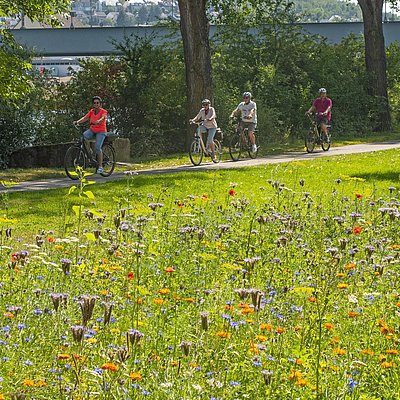 Foto: Moselradweg (5)