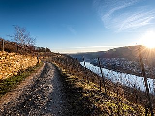 Auf dem Moselsteig bei Winningen