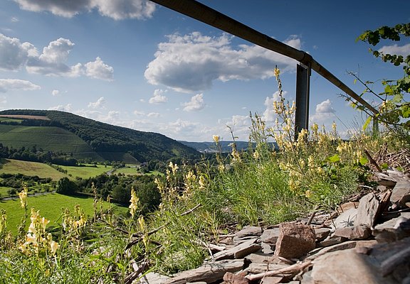 Wein und Schiefer am Wegesrand im Ruwertal