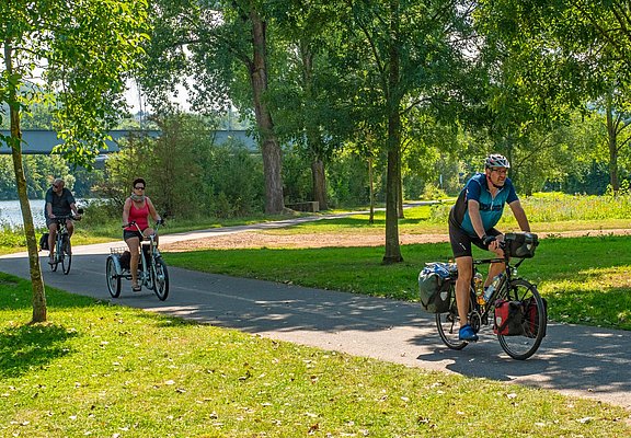 Radweg bei Konz