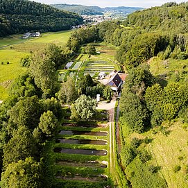 Forellengut Rosengarten Trassem (2)