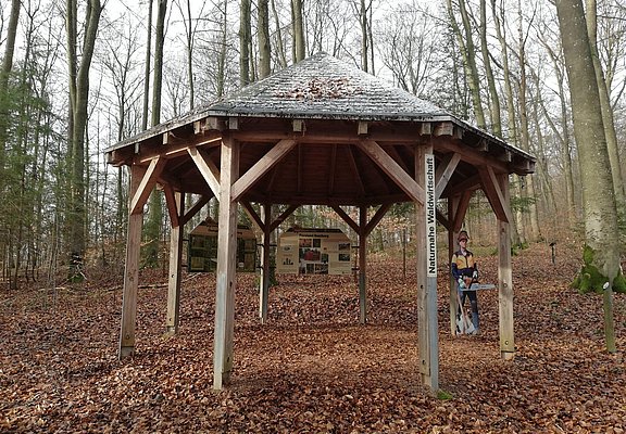 Informationspavillon Naturnahe Waldwirtschaft (1)