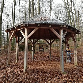 Informationspavillon Naturnahe Waldwirtschaft (1)