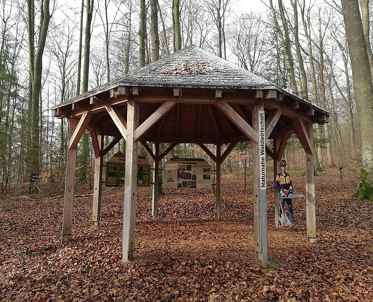 Informationspavillon Naturnahe Waldwirtschaft (1)
