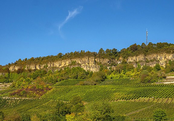 Kalkfelsen Nittel