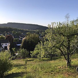 Der Garten im Frühjahr