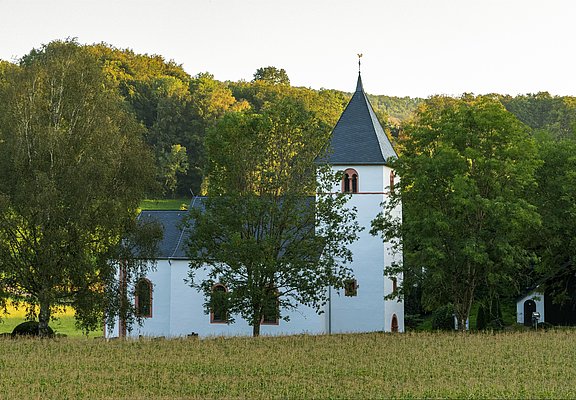 Rehlinger Kirche Fisch