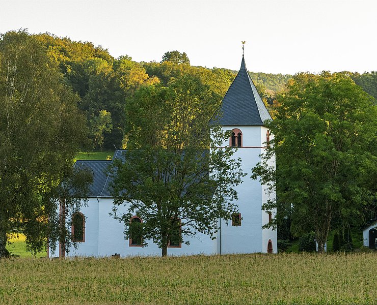 Rehlinger Kirche Fisch