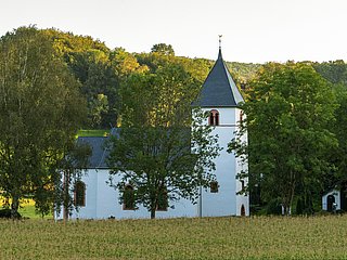 Rehlinger Kirche Fisch