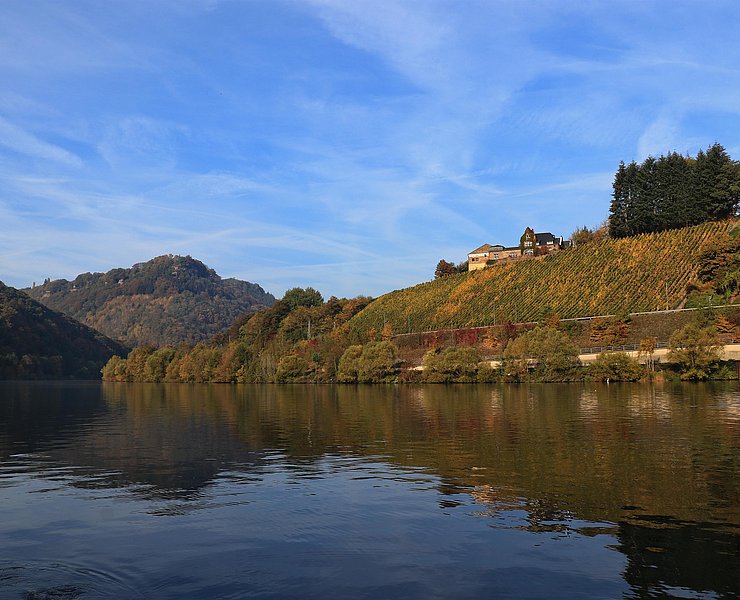 Weingut Würtzberg Serrig (1)
