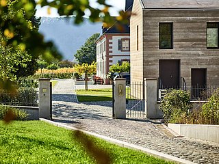 Weingut Cantzheim