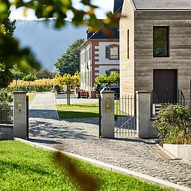 Weingut Cantzheim
