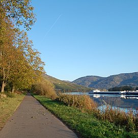 Der Mosel-Radweg hinter Lieser