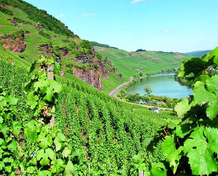 Ürzig