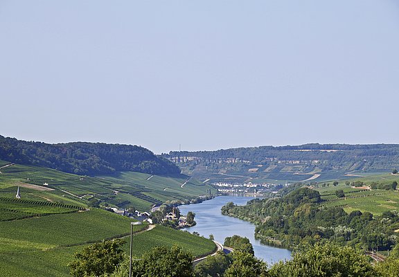 Blick auf Nittel