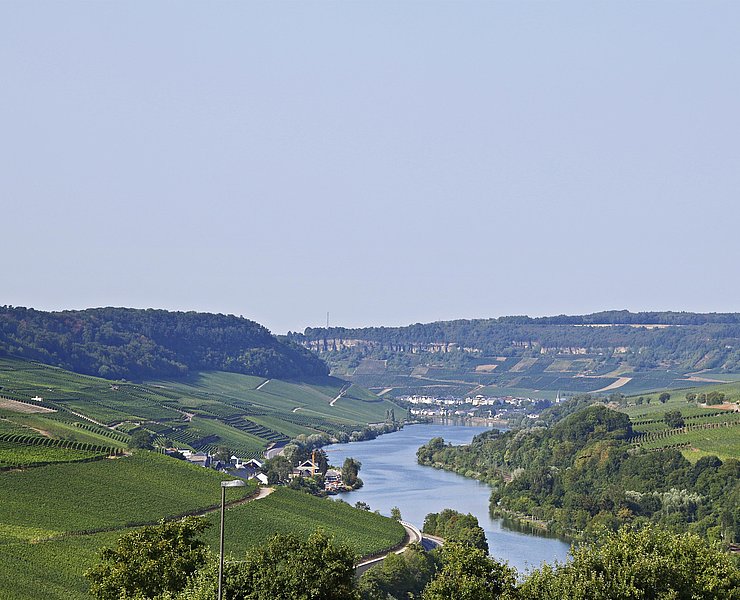 Blick auf Nittel