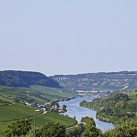 Blick auf Nittel
