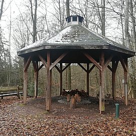 Lebensraum Holz