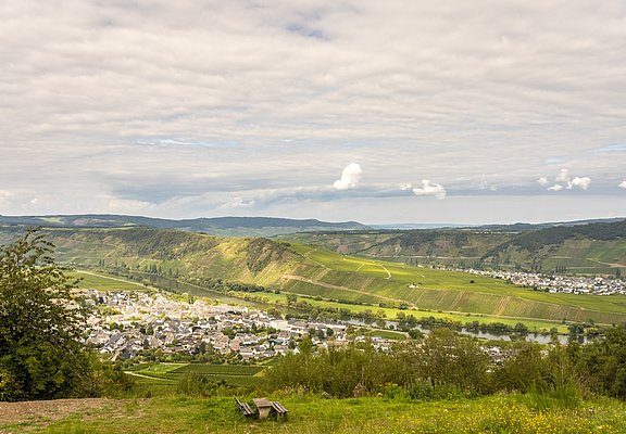 Ausblick auf Leiwen
