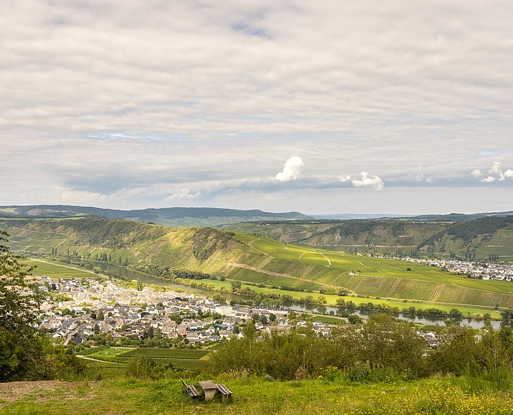 Ausblick auf Leiwen