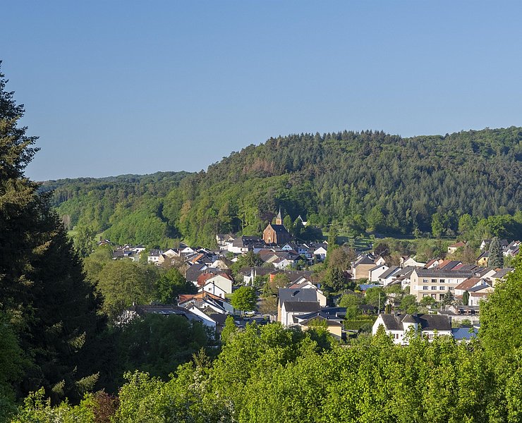 Blick auf Trassem (01)