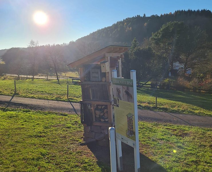 Lebensturm (4)