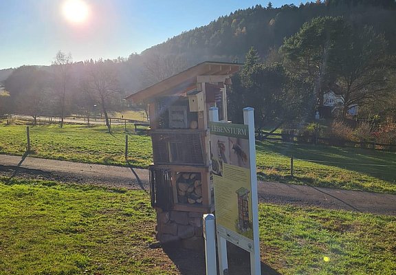 Lebensturm (4)