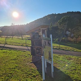 Lebensturm (4)
