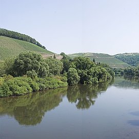 Blick auf die Saar bei Kanzem