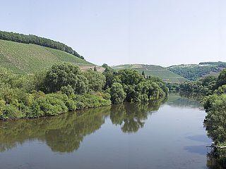Blick auf die Saar bei Kanzem