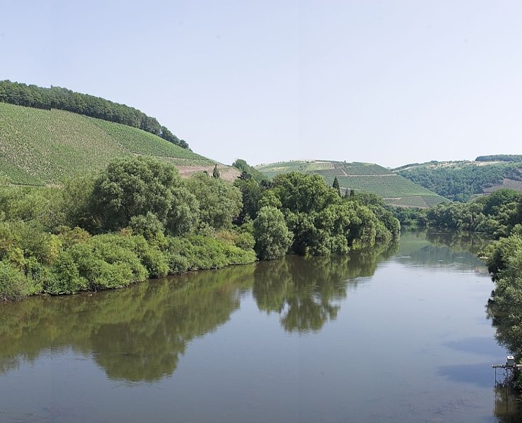 Blick auf die Saar bei Kanzem