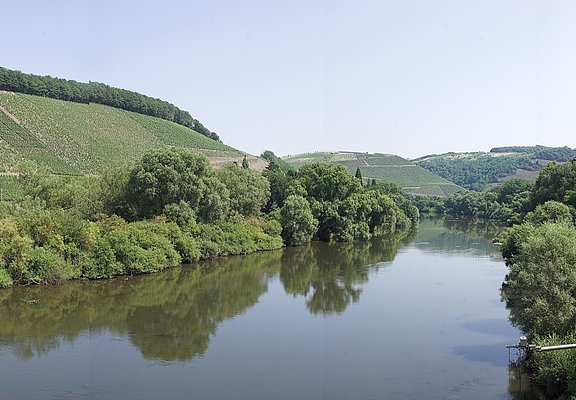 Blick auf die Saar bei Kanzem
