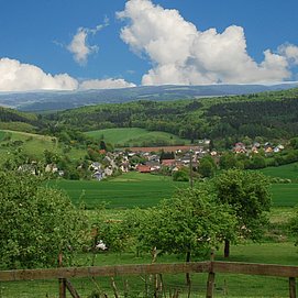 Blick auf Mannebach