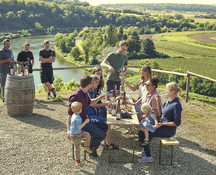 SAUERWEINS Weingut (4)
