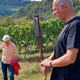 Weingut Karl Sonntag Nittel (7)