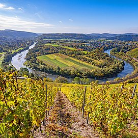 Wiltinger Saarbogen im Herbst