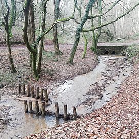 Informationspavillon Wald und Wasser (1)