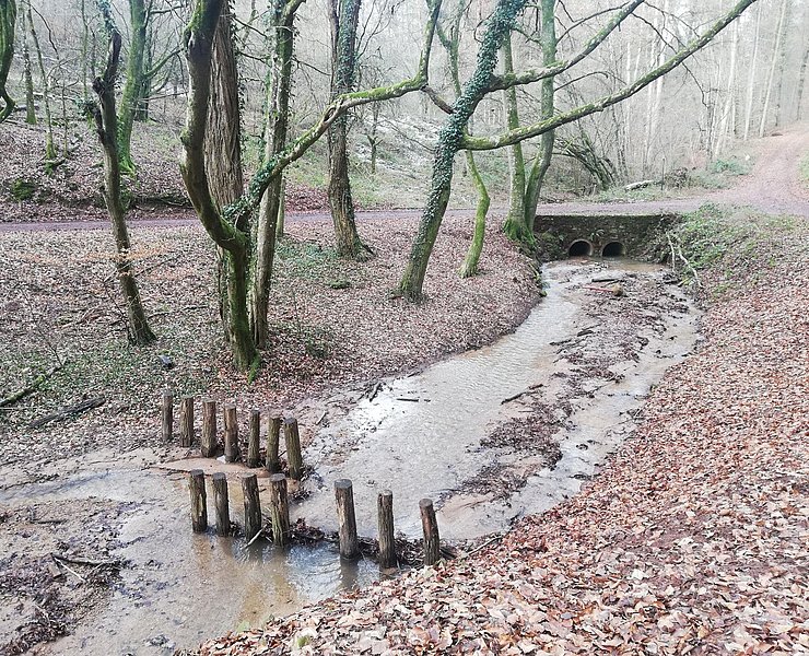 Informationspavillon Wald und Wasser (1)