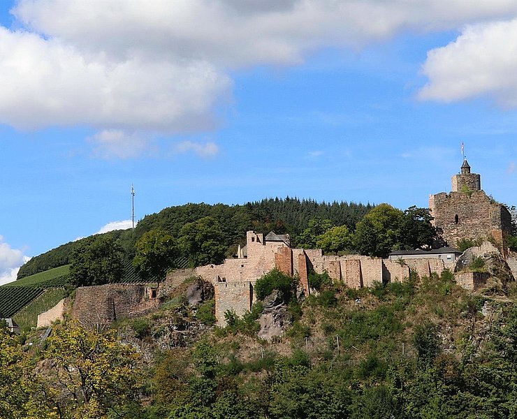 Burganlage Saarburg (1)