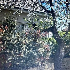 Ferienwohnung Am alten Apfelbaum (10)